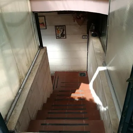 Il Cigno